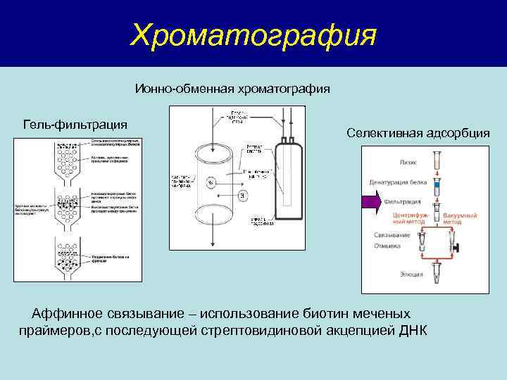 Хроматография Ионно-обменная хроматография Гель-фильтрация Селективная адсорбция Аффинное связывание – использование биотин меченых праймеров, с