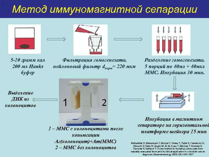 . Метод иммуномагнитной сепарации 5 -10 грамм кал 200 мл Hanks буфер Выделение ДНК