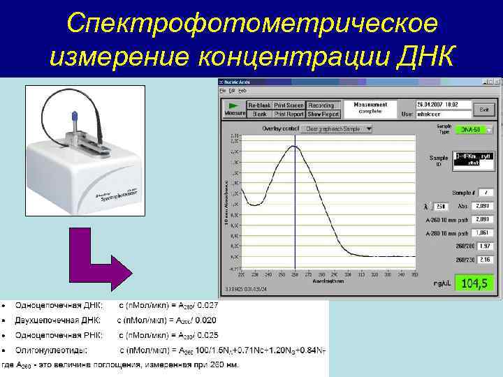 Спектрофотометрическое измерение концентрации ДНК 