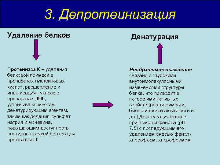 3. Депротеинизация Удаление белков Протеиназа К – удаления белковой примеси в препаратах нуклеиновых кислот,