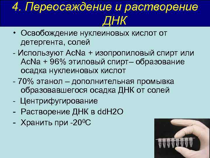 4. Переосаждение и растворение ДНК • Освобождение нуклеиновых кислот от детергента, солей - Используют