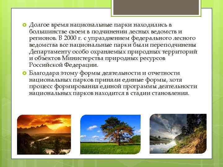  Долгое время национальные парки находились в большинстве своем в подчинении лесных ведомств и