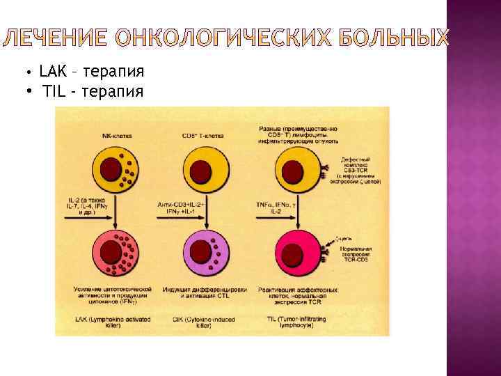 LAK – терапия • TIL - терапия • 