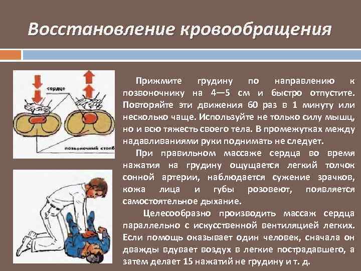 Восстановление кровообращения Прижмите грудину по направлению к позвоночнику на 4— 5 см и быстро