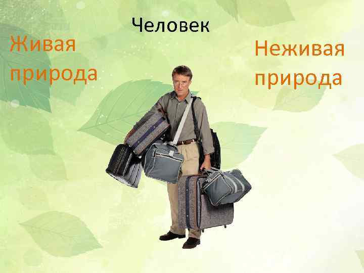 Живая природа Человек Неживая природа 