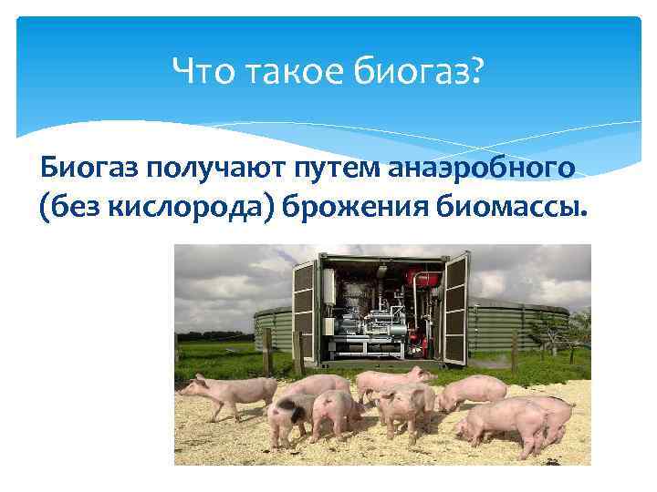 Что такое биогаз? Биогаз получают путем анаэробного (без кислорода) брожения биомассы. 