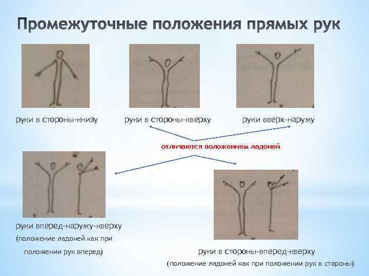 руки в стороны-книзу руки в стороны-кверху руки вверх-наружу отличаются положением ладоней руки вперед-наружу-кверху (положение