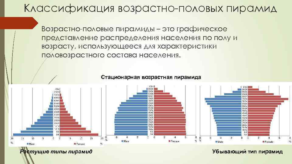 Графическое изображение распределения населения по возрасту и полу в виде горизонтальных полос