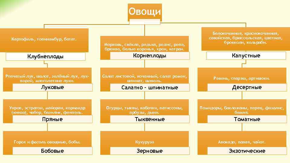 Дополните схему классификации овощей