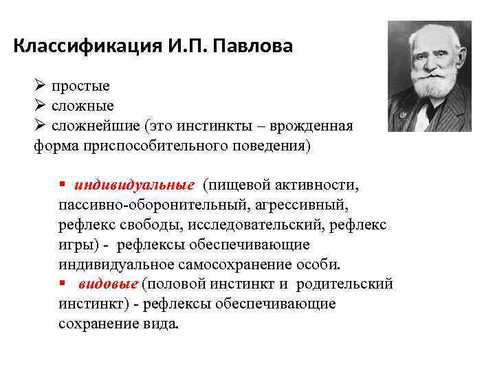 Классификация И. П. Павлова Ø простые Ø сложнейшие (это инстинкты – врожденная форма приспособительного