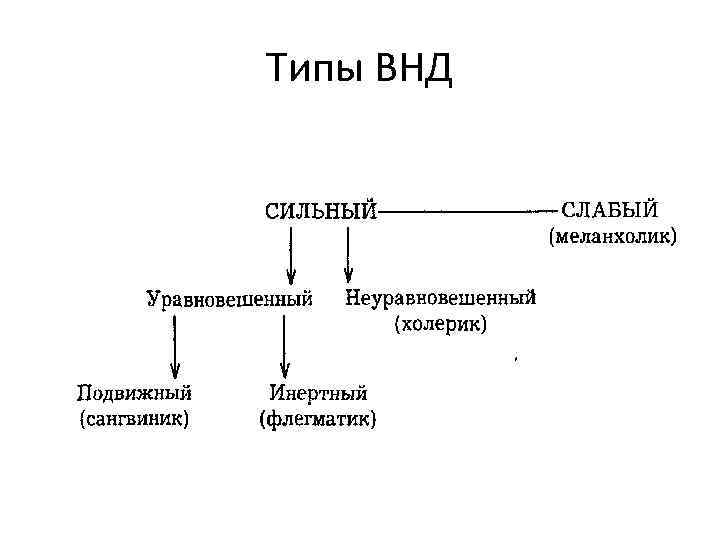 Типы ВНД 