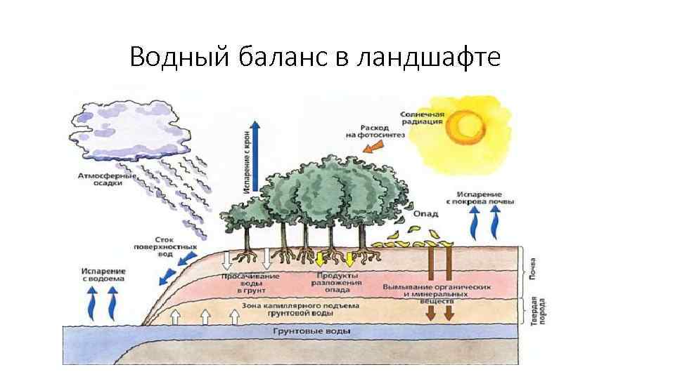 Географическая оболочка тест 6 класс