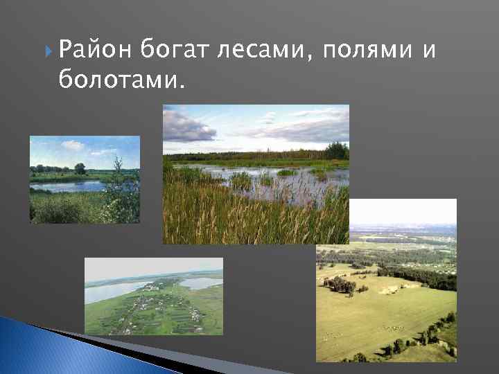  Район богат лесами, полями и болотами. 