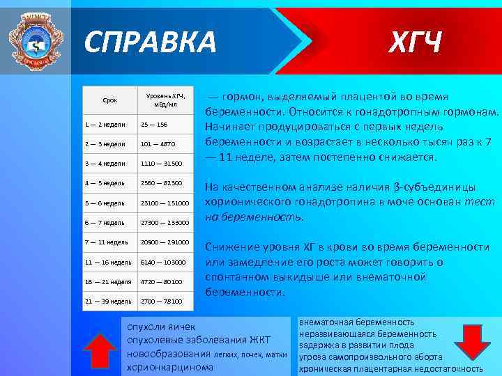 СПРАВКА Уровень ХГЧ, м. Ед/мл Срок 1 — 2 недели 25 — 156 2