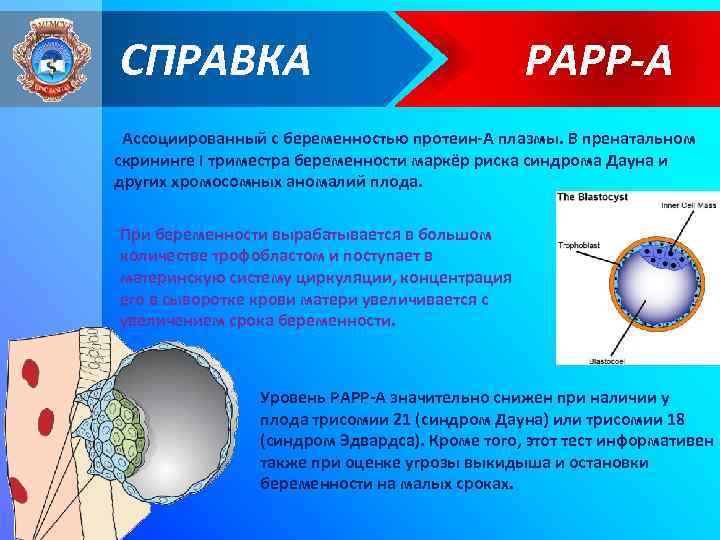 СПРАВКА РАРР-А Ассоциированный с беременностью протеин-А плазмы. В пренатальном скрининге I триместра беременности маркёр