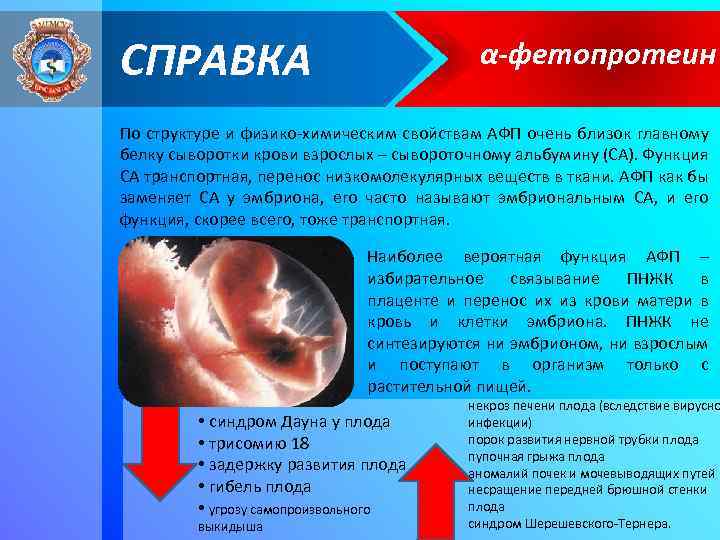 СПРАВКА α-фетопротеин По структуре и физико-химическим свойствам АФП очень близок главному белку сыворотки крови