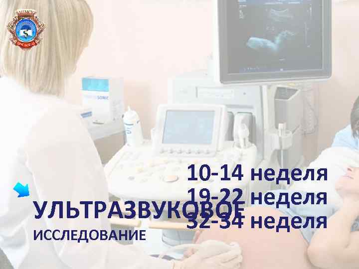 10 -14 неделя 19 -22 неделя УЛЬТРАЗВУКОВОЕ 32 -34 неделя ИССЛЕДОВАНИЕ 