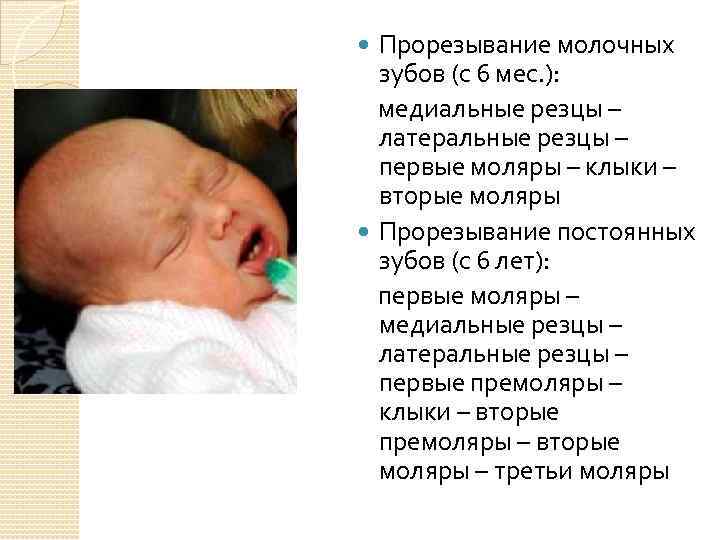 Прорезывание молочных зубов (с 6 мес. ): медиальные резцы – латеральные резцы – первые