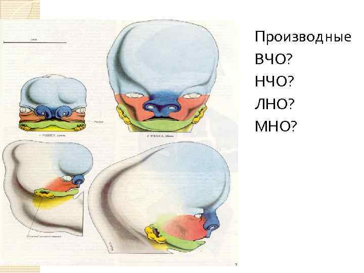 Производные ВЧО? НЧО? ЛНО? МНО? 