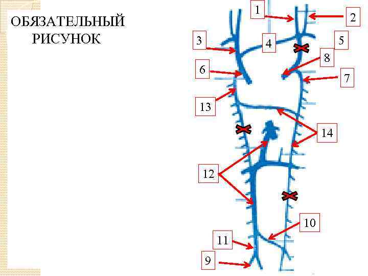 ОБЯЗАТЕЛЬНЫЙ РИСУНОК 1 3 2 5 4 8 6 7 13 14 12 10