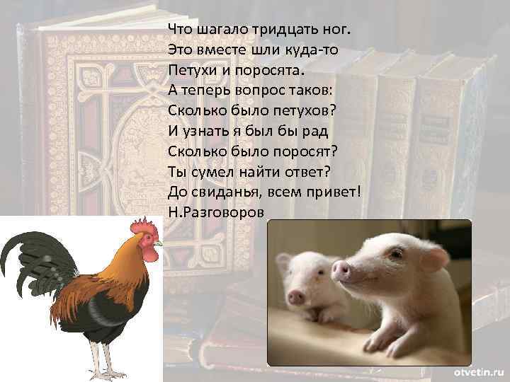 Что шагало тридцать ног. Это вместе шли куда-то Петухи и поросята. А теперь вопрос