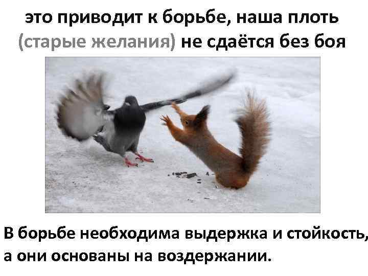 это приводит к борьбе, наша плоть (старые желания) не сдаётся без боя В борьбе