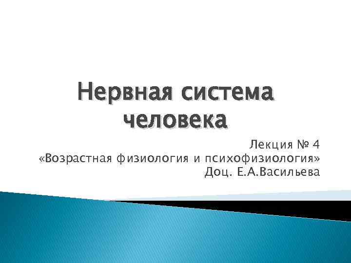 Нервная система человека Лекция № 4 «Возрастная физиология и психофизиология» Доц. Е. А. Васильева