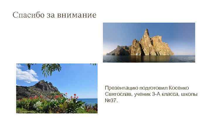 Спасибо за внимание Презентацию подготовил Косенко Святослав, ученик 3 -А класса, школы № 37.