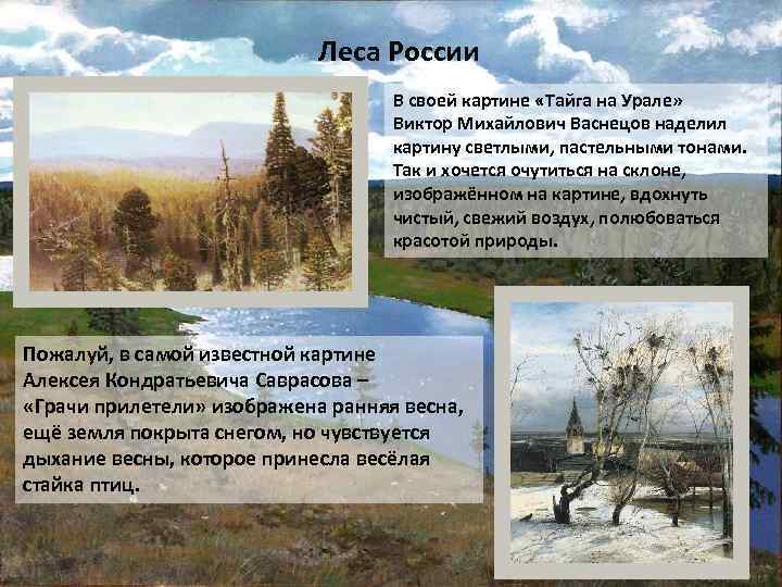 Леса России В своей картине «Тайга на Урале» Виктор Михайлович Васнецов наделил картину светлыми,