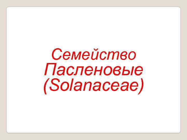 Семейство Пасленовые (Solanaceae) 