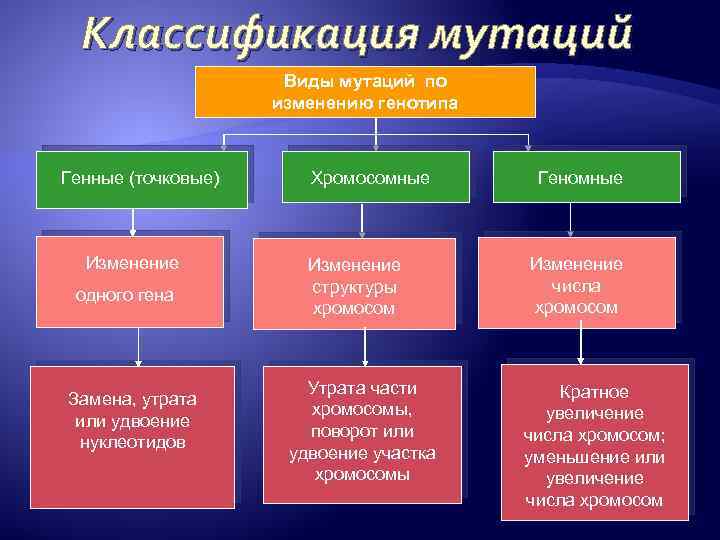 Классификация мутаций Виды мутаций по изменению генотипа Генные (точковые) Изменение одного гена Замена, утрата