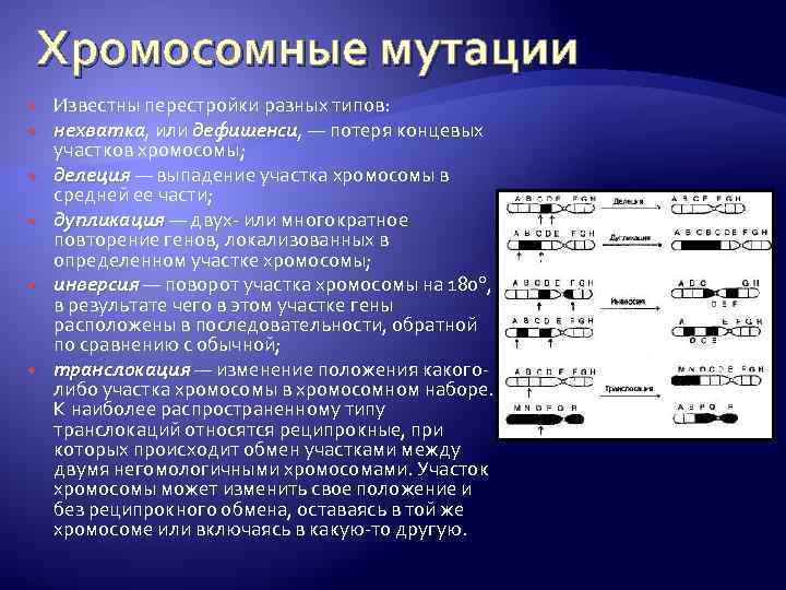 Хромосомные мутации Известны перестройки разных типов: нехватка, или дефишенси, — потеря концевых нехватка дефишенси