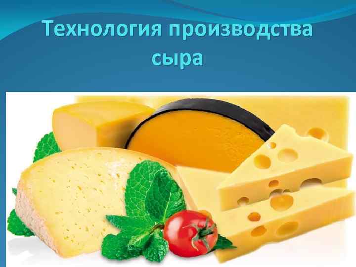 Технология производства сыра 