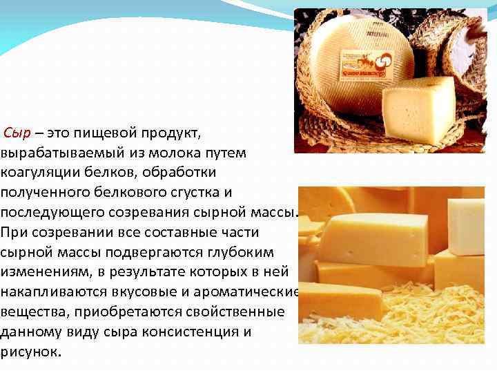 Сыр – это пищевой продукт, вырабатываемый из молока путем коагуляции белков, обработки полученного белкового