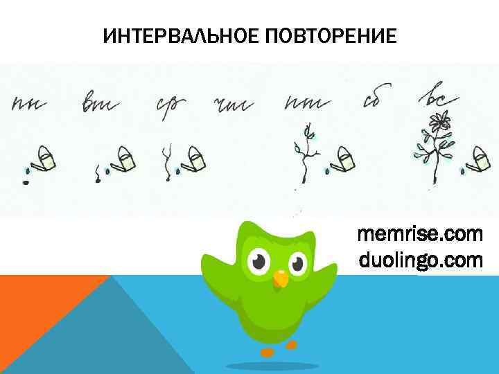 ИНТЕРВАЛЬНОЕ ПОВТОРЕНИЕ memrise. com duolingo. com 