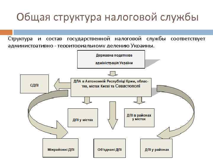 Общая структура налоговой службы Структура и состав государственной налоговой службы соответствует административно - территориальному