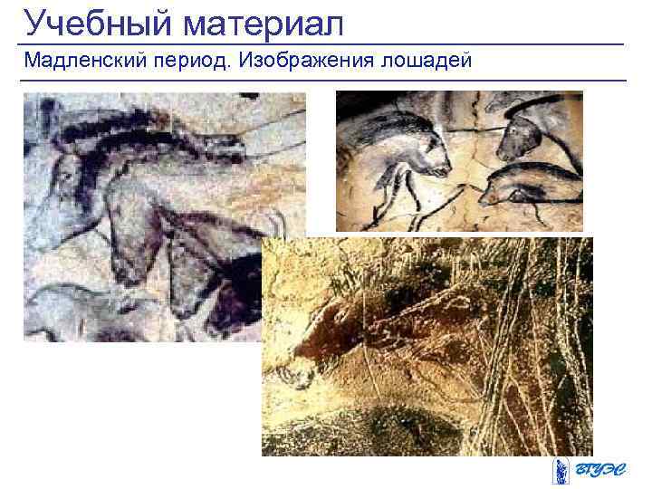 Учебный материал Мадленский период. Изображения лошадей 
