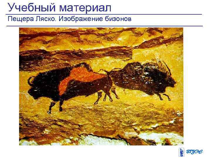 Учебный материал Пещера Ляско. Изображение бизонов 