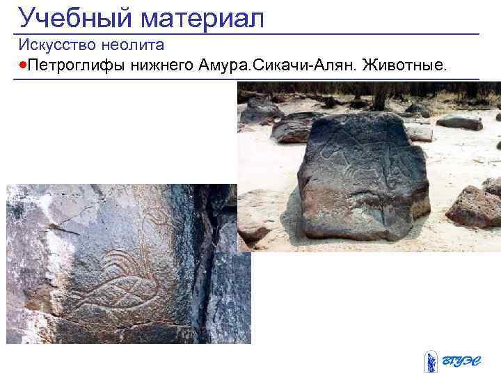 Учебный материал Искусство неолита ·Петроглифы нижнего Амура. Сикачи-Алян. Животные. 