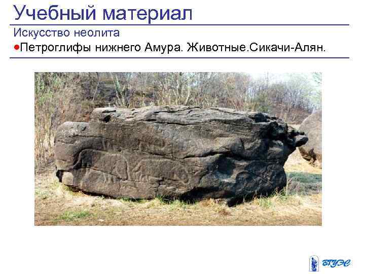 Учебный материал Искусство неолита ·Петроглифы нижнего Амура. Животные. Сикачи-Алян. 