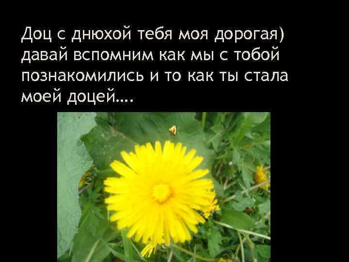 Доц с днюхой тебя моя дорогая) давай вспомним как мы с тобой познакомились и