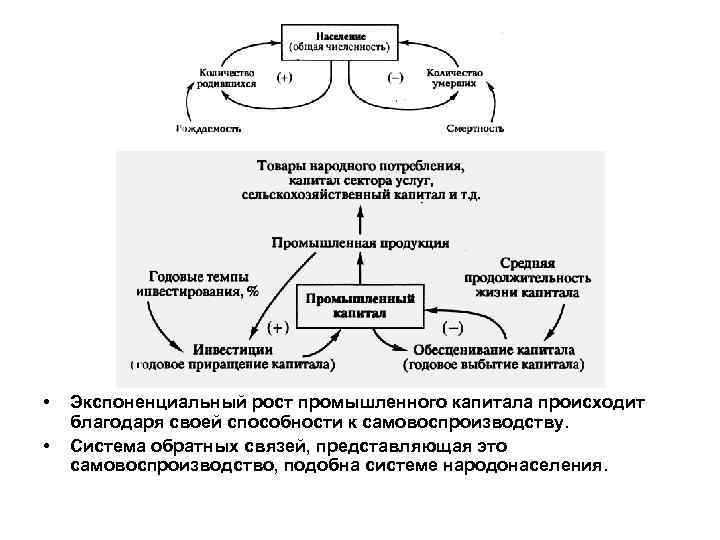  • • Экспоненциальный рост промышленного капитала происходит благодаря своей способности к самовоспроизводству. Система