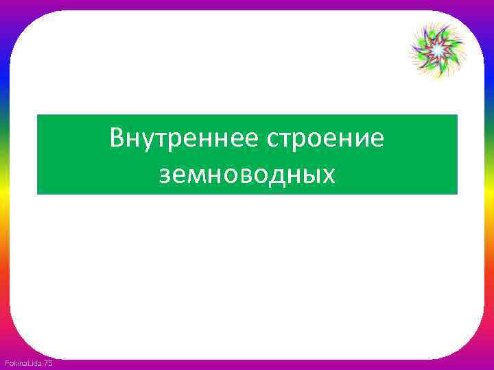 Внутреннее строение земноводных Fokina. Lida. 75 