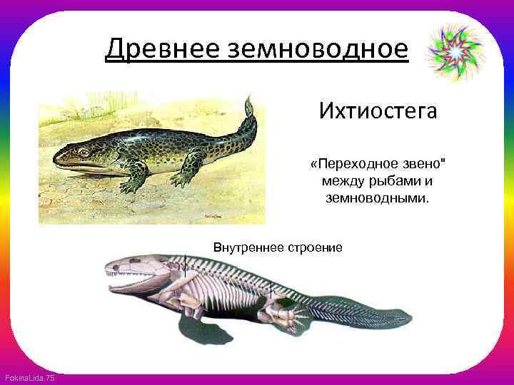 Древнее земноводное Ихтиостега «Переходное звено
