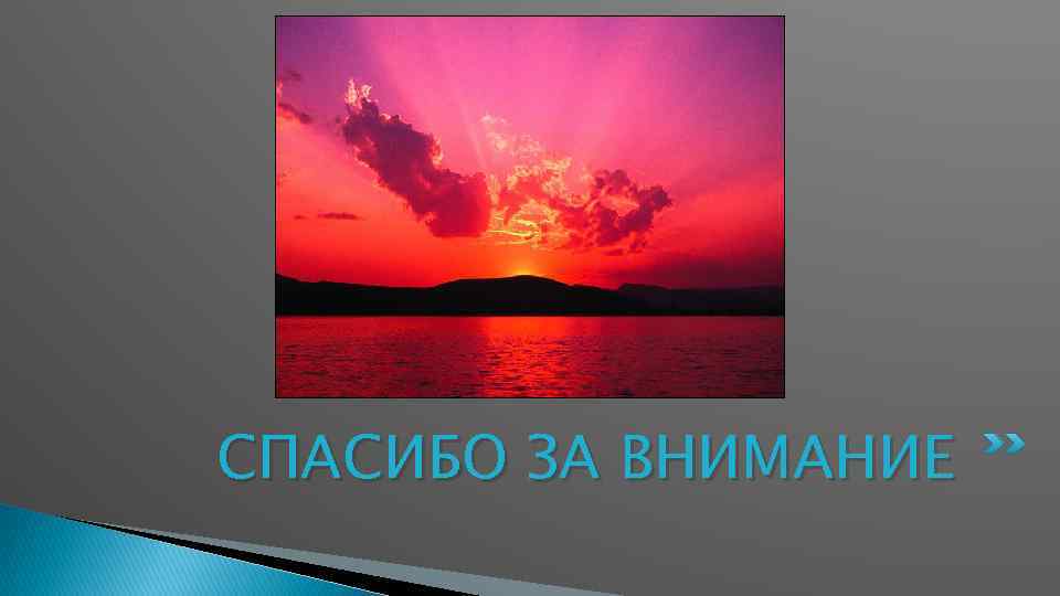 СПАСИБО ЗА ВНИМАНИЕ 