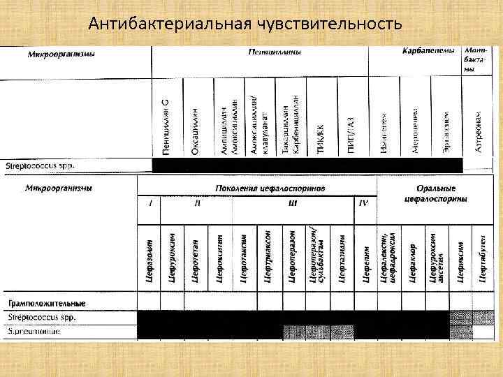 Антибактериальная чувствительность 