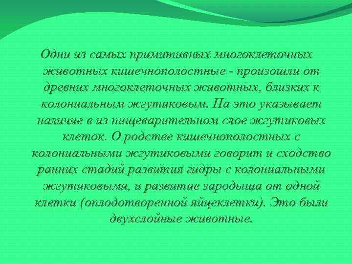 Одни из самых примитивных многоклеточных животных кишечнополостные - произошли от древних многоклеточных животных, близких