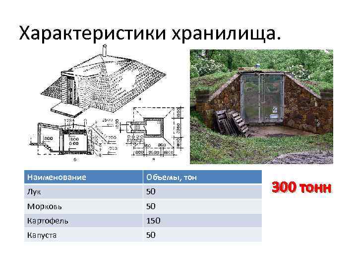 Характеристики хранилища. Наименование Объемы, тон Лук 50 Морковь 50 Картофель 150 Капуста 50 300