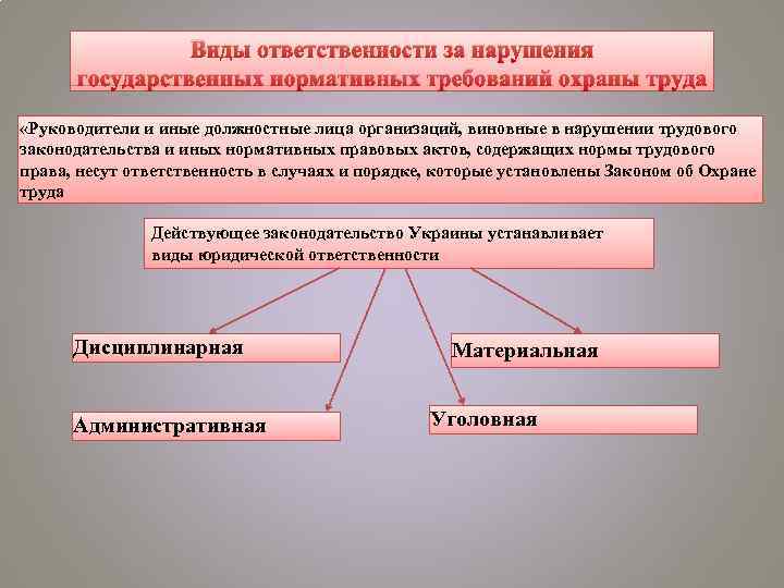 Виды ответственности за нарушения государственных нормативных требований охраны труда «Руководители и иные должностные лица