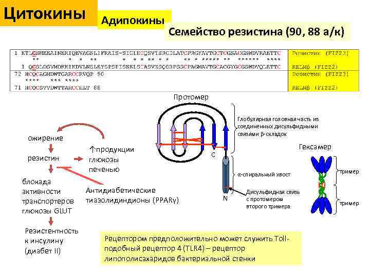 Резистин. Адипонектин и резистин. Адипокины при ожирении. Резистин жировой ткани. Резистин функция.